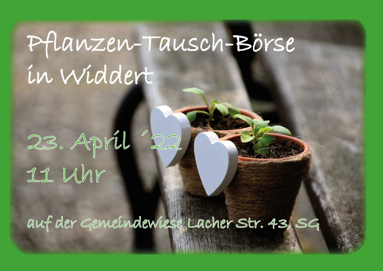 Pflanzen-Tausch-Börse Widdert 23. April ab 11 Uhr auf der Gemeindewiese Lacher Str 43 SG